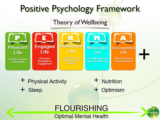 img-positive-theory-of-wellbeing
