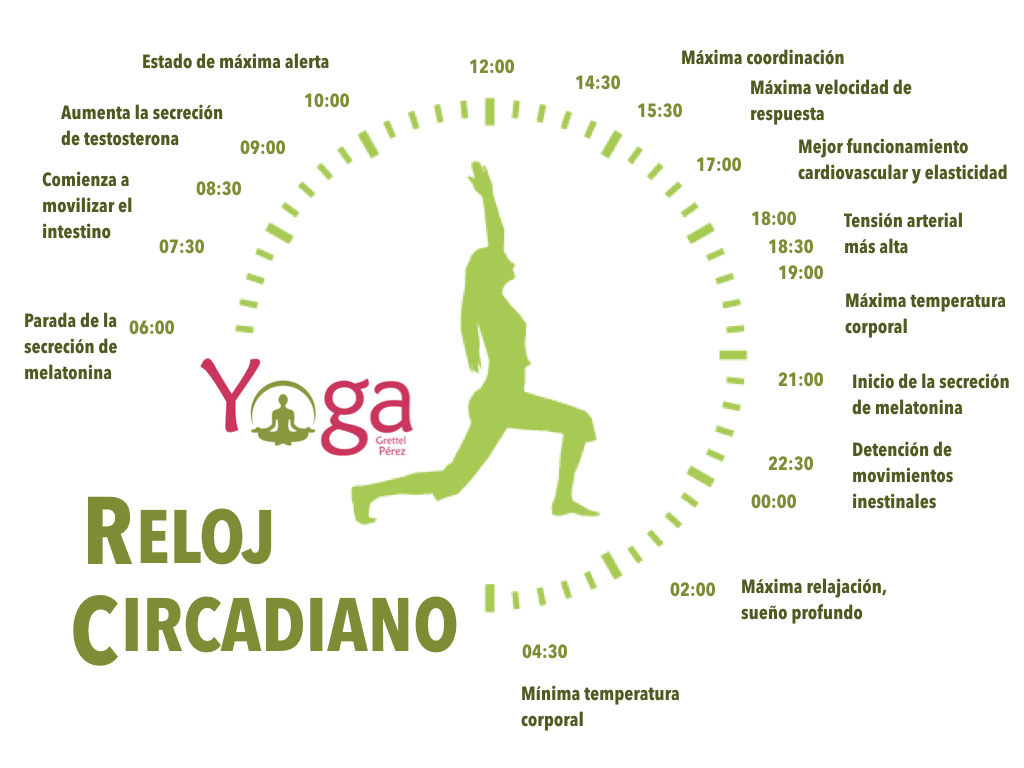 reloj circadiano